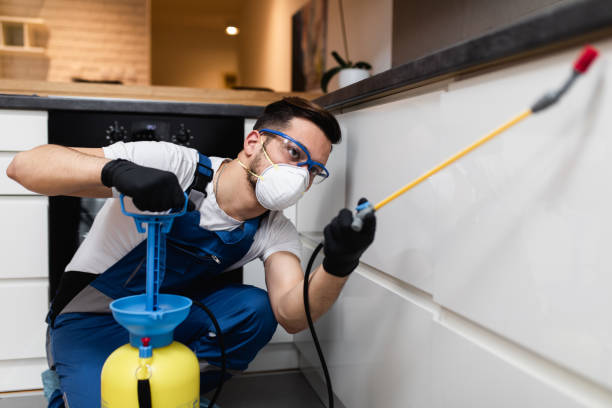 Best Exterminator Services  in Montevideo, MN