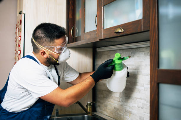 Best Bed Bug Extermination  in Montevideo, MN