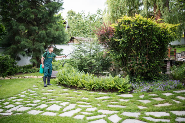Best Emergency Pest Control  in Montevideo, MN