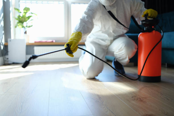 Best Affordable Pest Control Services  in Montevideo, MN