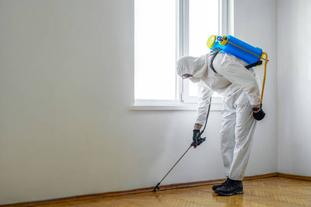 Professional Pest Control in Montevideo, MN