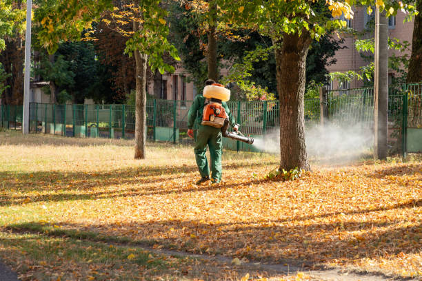 Best Termite Control Services  in Montevideo, MN