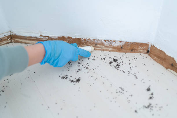 Best Exterminator Services  in Montevideo, MN