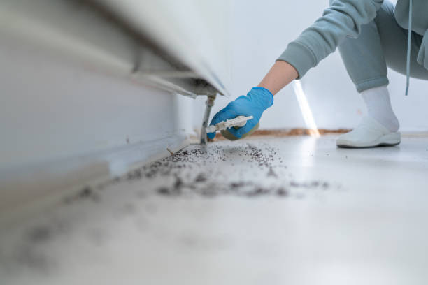 Professional Pest Control in Montevideo, MN