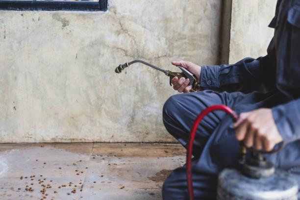 Best Emergency Pest Control  in Montevideo, MN